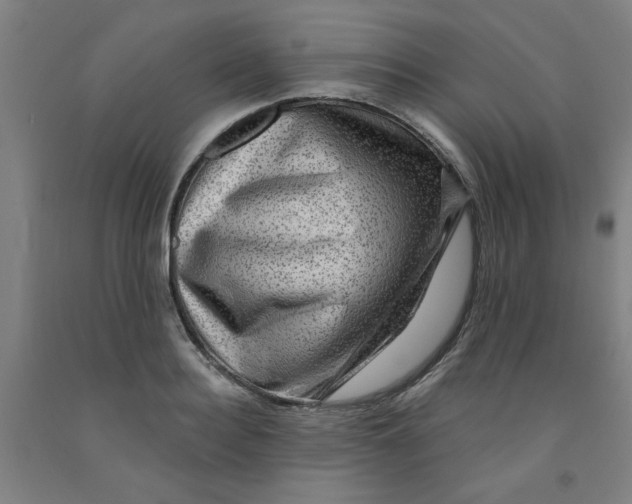 X0000091950940200709271323