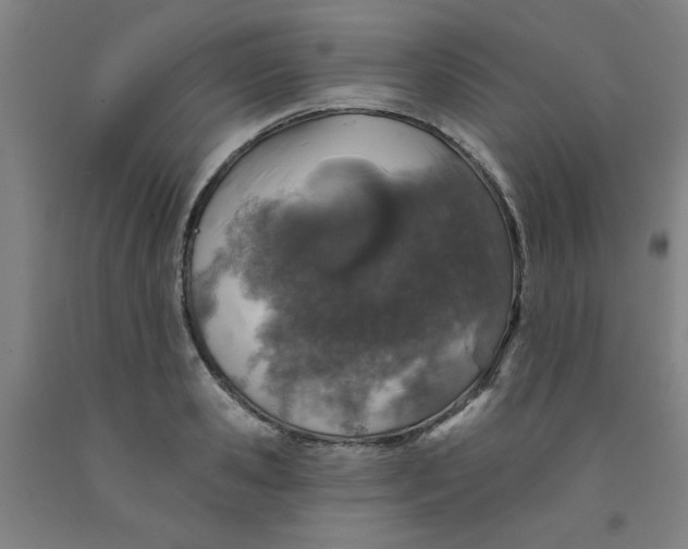 X0000091950941200709271323