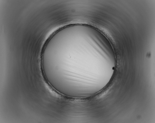 X0000091950942200709271323