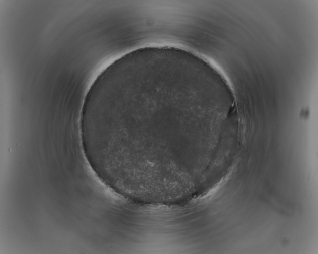 X0000091950943200709271323