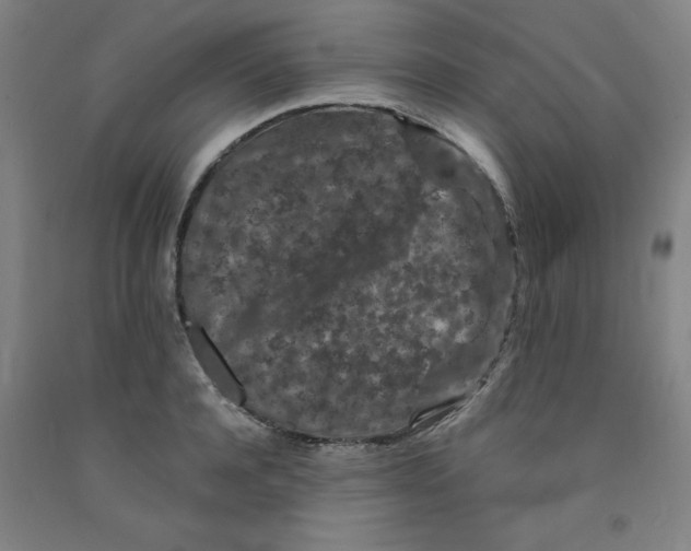 X0000091950944200709271323