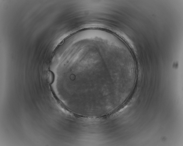 X0000091950945200709271323