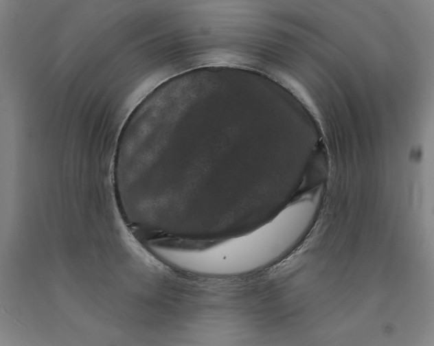 X0000091950946200709271323