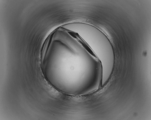 X0000091950948200709271323