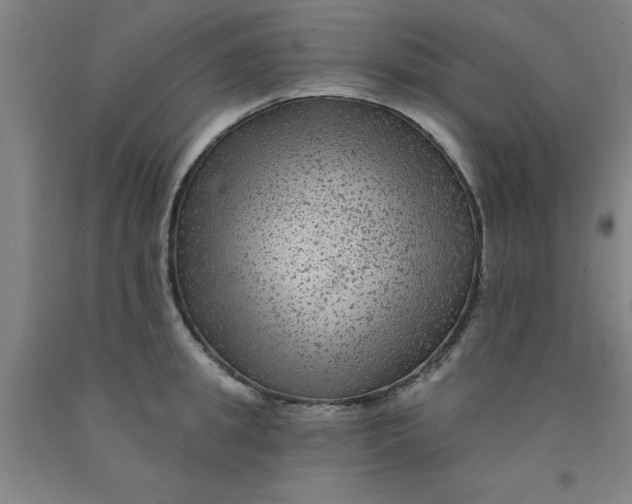 X0000091950949200709271323