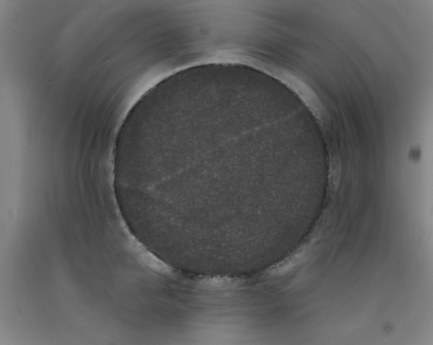 X0000091950950200709271323