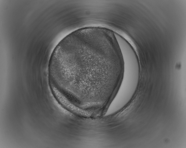 X0000091950951200709271323