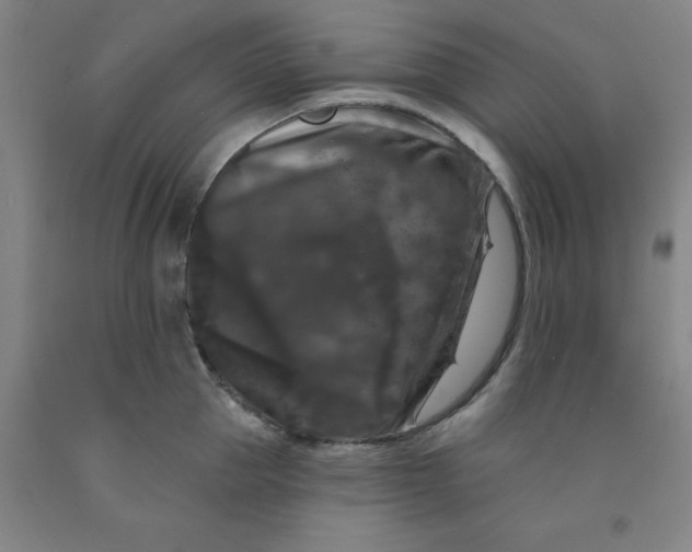 X0000091950953200709271323