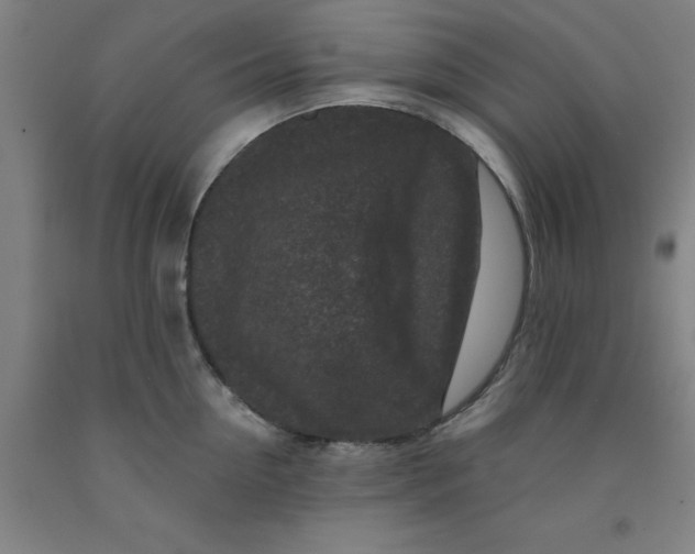 X0000091950954200709271323