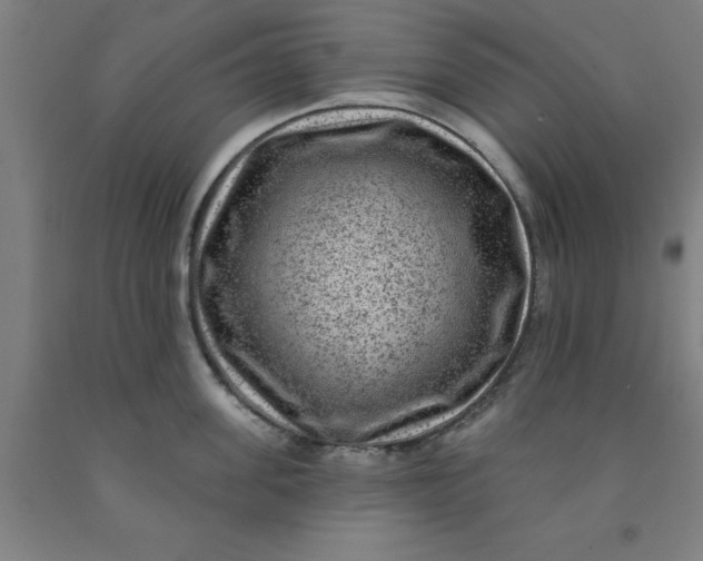 X0000091950955200709271323