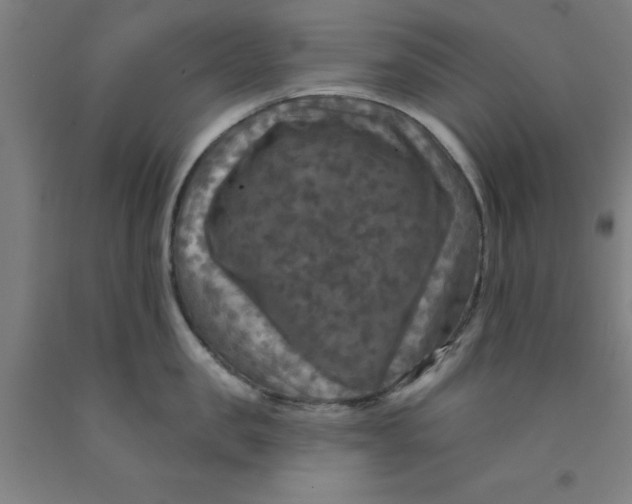 X0000091950957200709271323