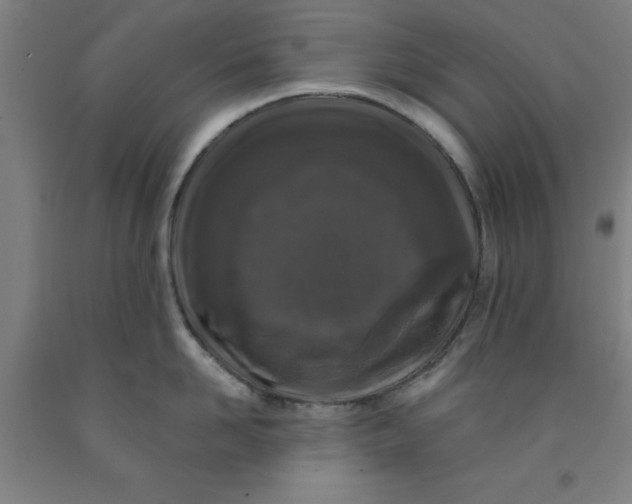 X0000091950958200709271323