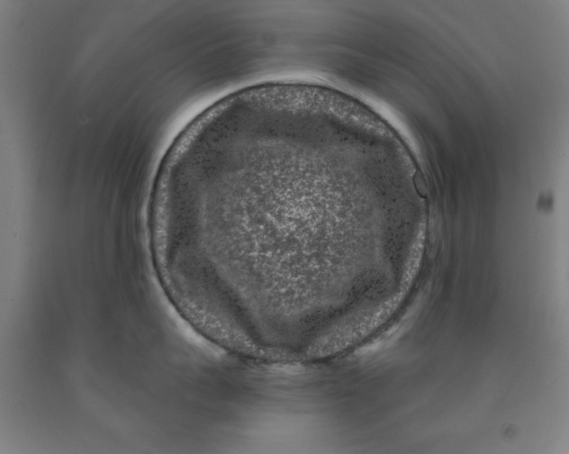 X0000091950959200709271323