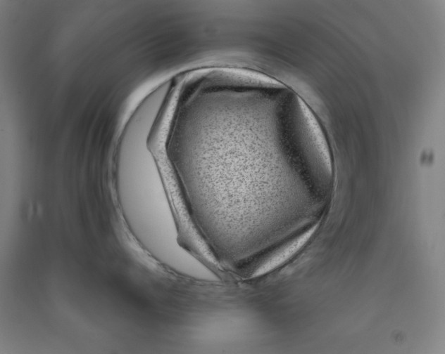 X0000091950960200709271323