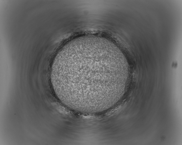 X0000091950961200709271323