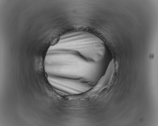 X0000091950963200709271323