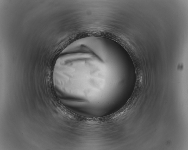 X0000091950964200709271323