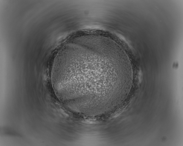 X0000091950965200709271322