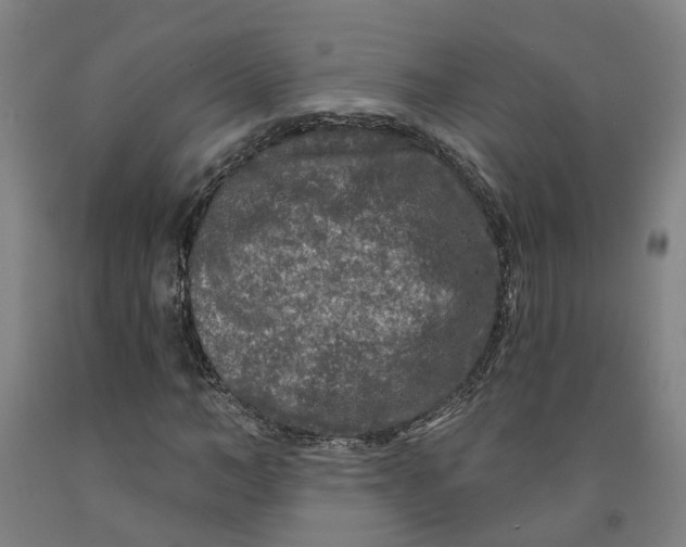 X0000091950966200709271322