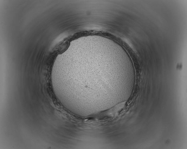 X0000091950967200709271322