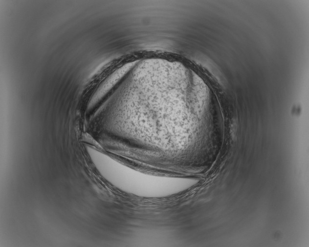 X0000091950968200709271322