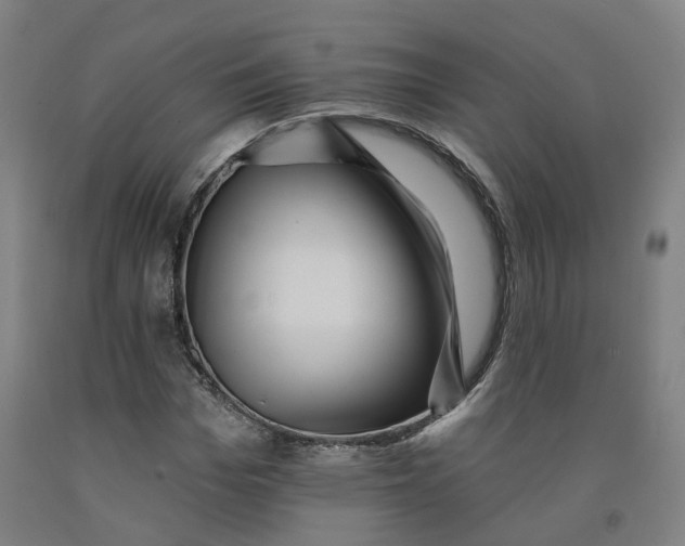 X0000091950969200709271322