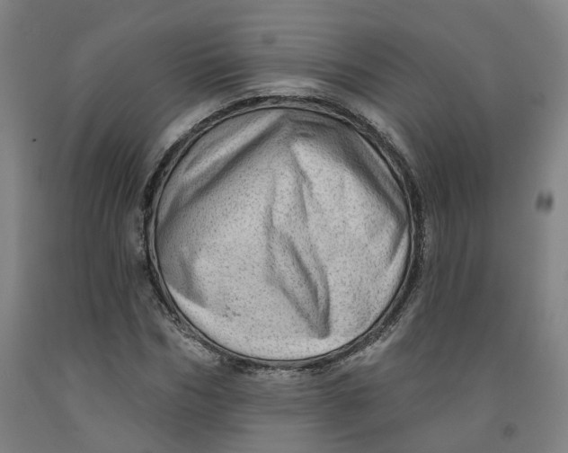 X0000091950970200709271322