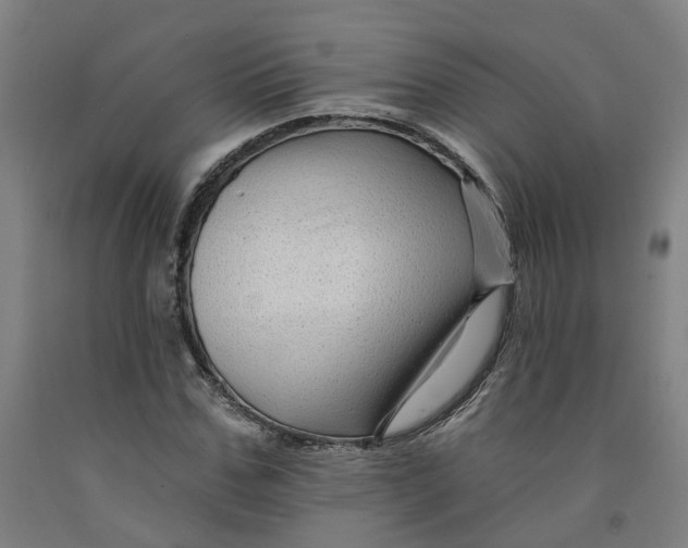 X0000091950971200709271322