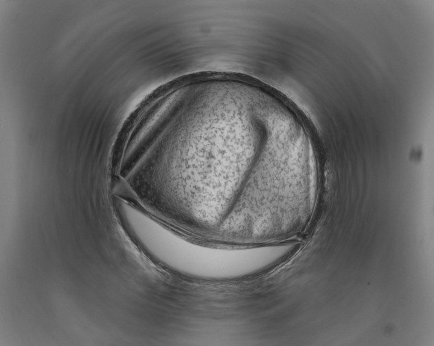 X0000091950972200709271322