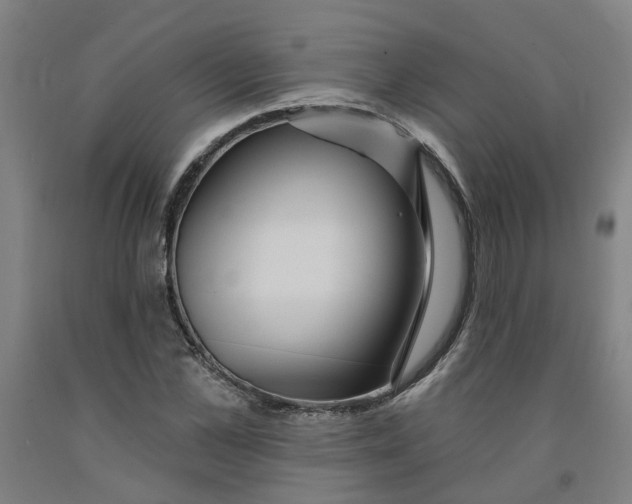 X0000091950973200709271322