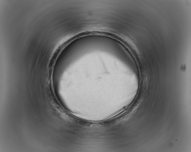 X0000091950974200709271322