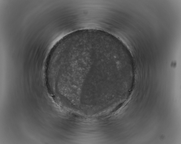 X0000091950975200709271322