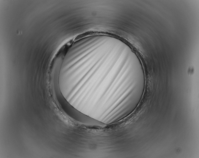 X0000091950976200709271322