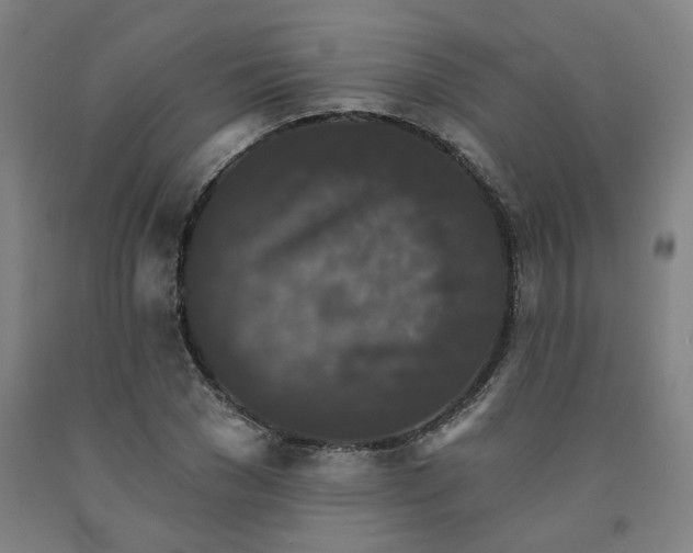 X0000091950977200709271322