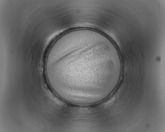 X0000091950979200709271322