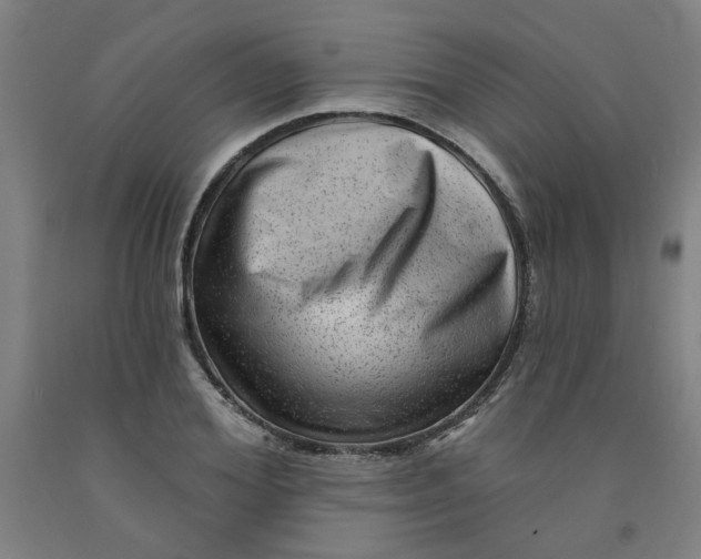 X0000091950980200709271322