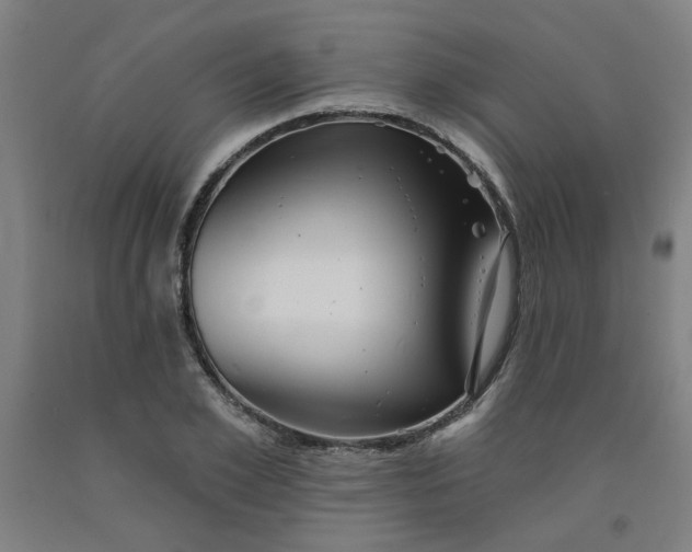 X0000091950981200709271322