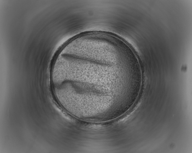 X0000091950982200709271322