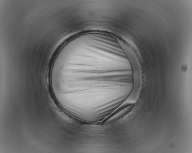 X0000091950984200709271322