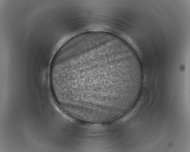 X0000091950986200709271322