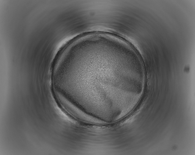 X0000091950987200709271322