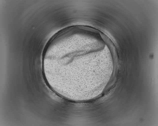 X0000091950988200709271322