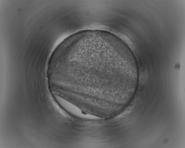 X0000091950990200709271322