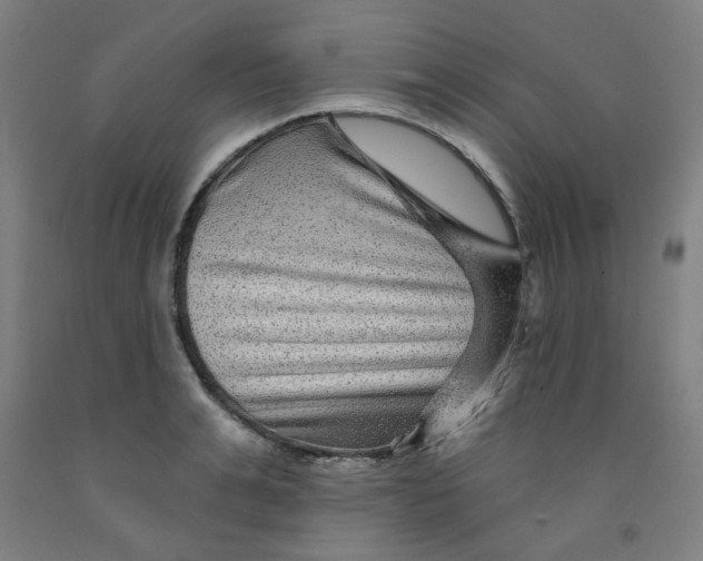 X0000091950991200709271322