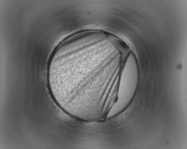 X0000091950992200709271322