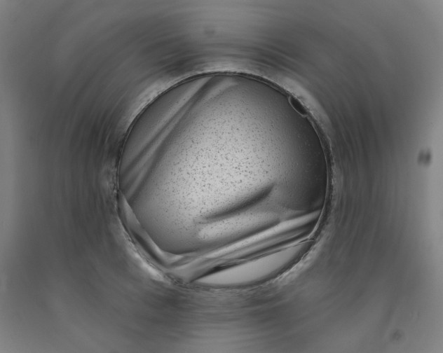 X0000091950993200709271322