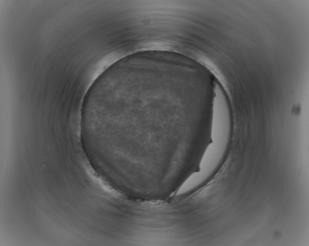 X0000091950994200709271322