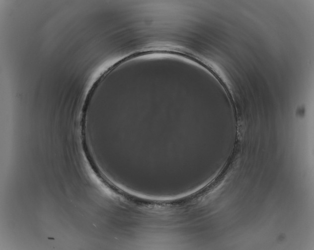 X0000091950995200709271322