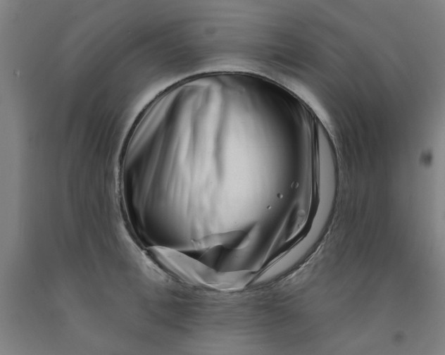 X0000091950996200709271322