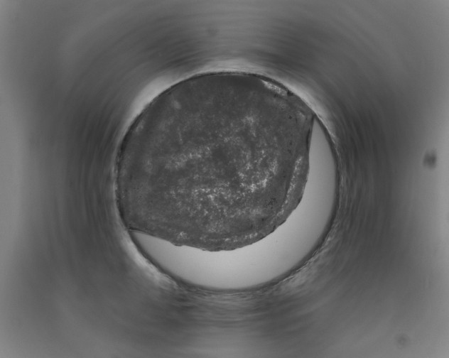 X0000091950998200709271322